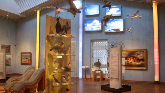 Bohuslans Museum