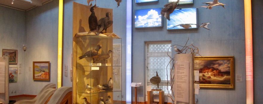 Bohuslans Museum