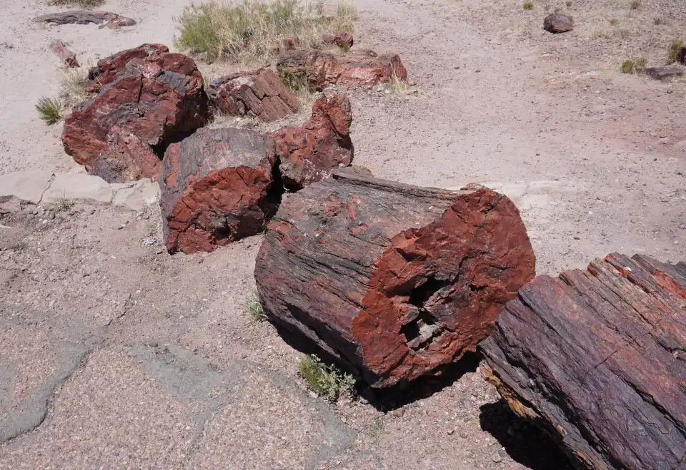3_Giant Logs Loop