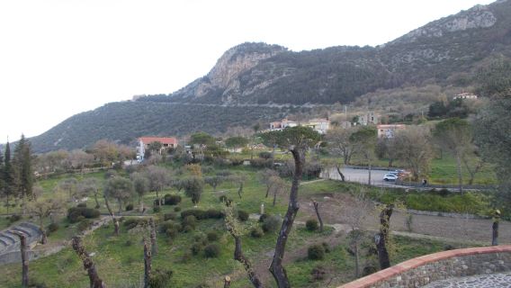 Sanctuary of Gethsemane