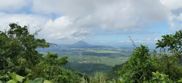 Laguna