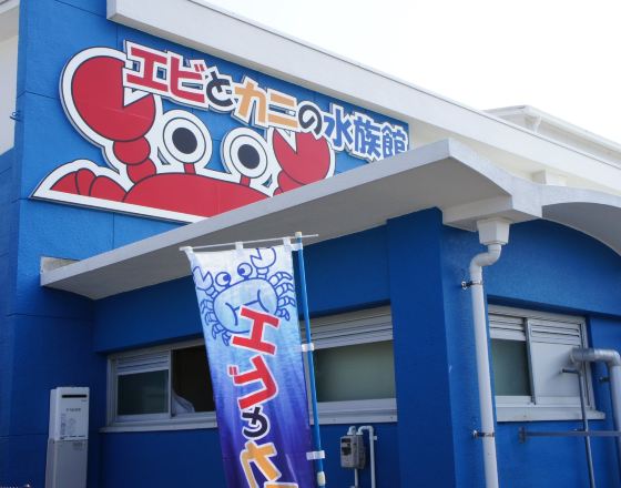 周參見町 自由行套票