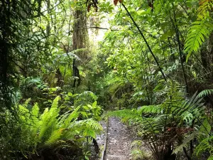 Mitchells Gully Gold Mine