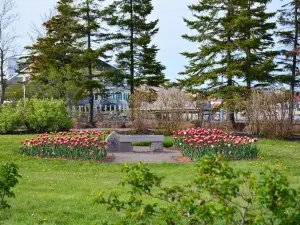 Confederation Landing