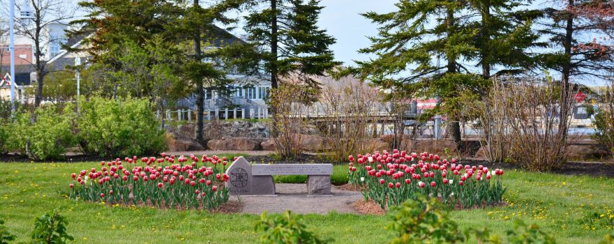Confederation Landing
