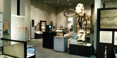 千葉県立中央博物館