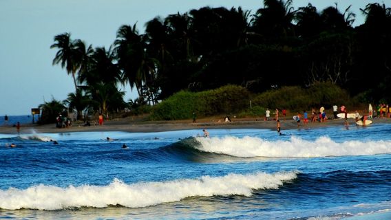 Safa Surf Camp