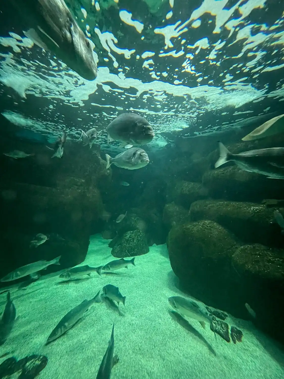 Hotels near Marine Biological Station and Concarneau Marinarium