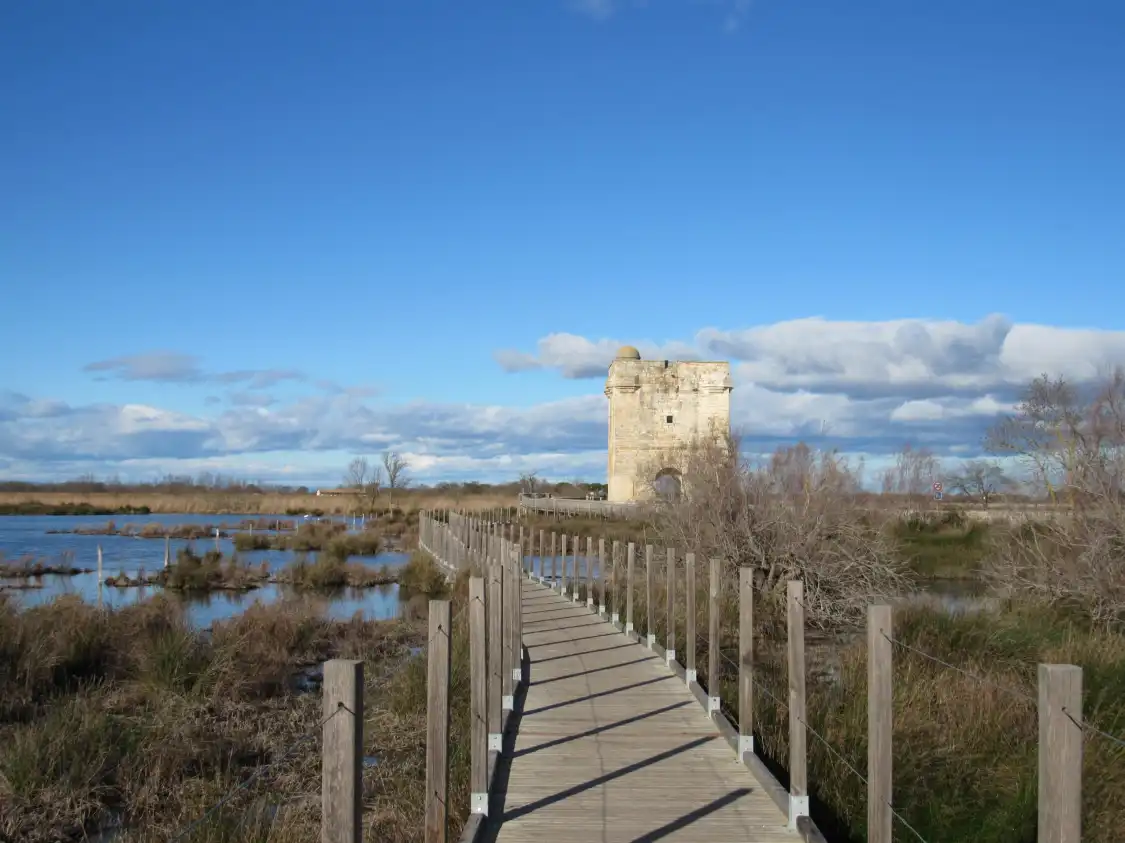 Hôtels à proximité de : Maison du Grand Site de France de la Camargue Gardoise