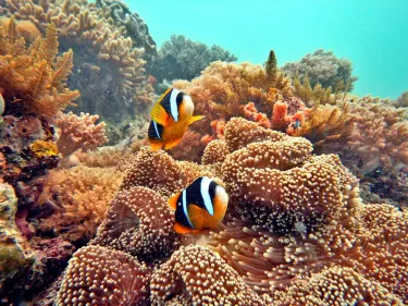 DiveTime Zanzibar Dive Center
