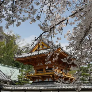 正法寺