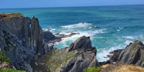 Cape Sardão