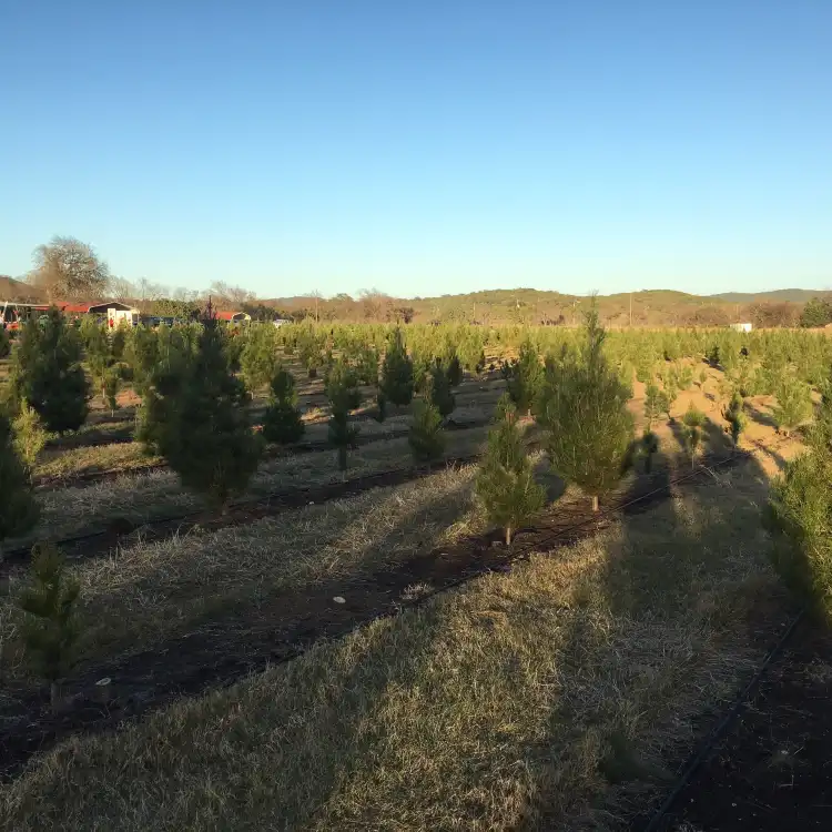 Hotels in Pipe Creek