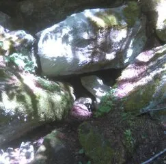 Torni-Mannisto Hidden Gun Cache