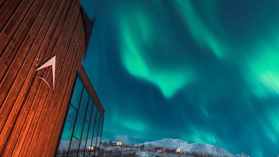 Lyngen