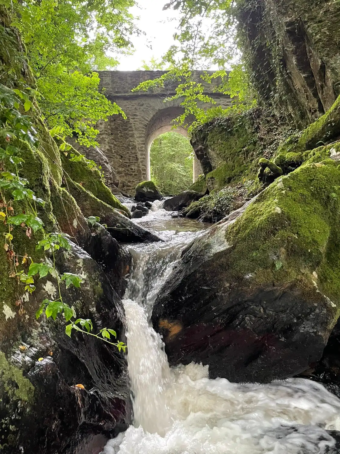Hotels near Cascade du Bialet