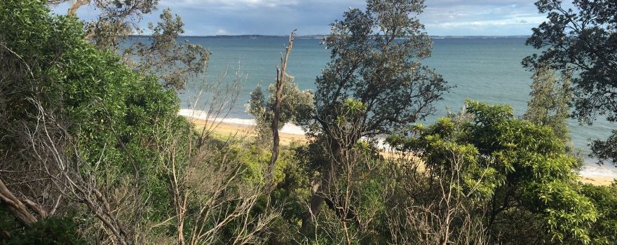 Somers Beach
