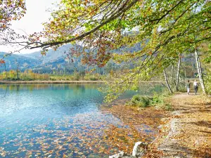 Rundweg Almsee