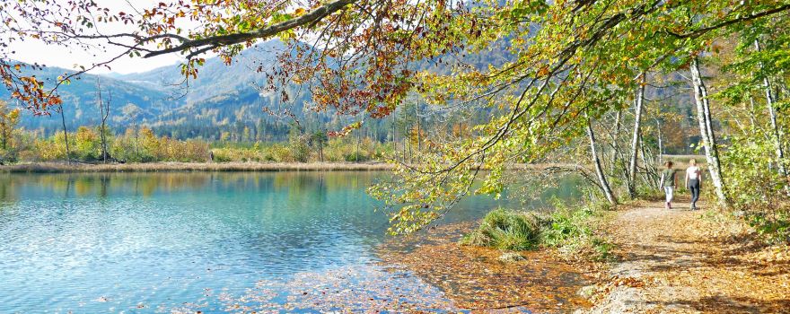 Rundweg Almsee