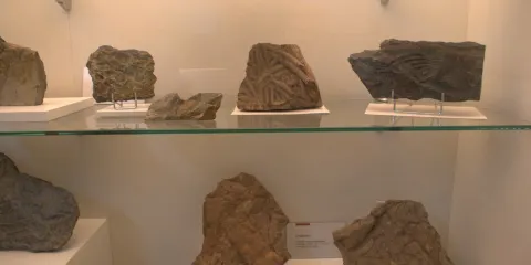 Centro de Interpretacion del Fosil