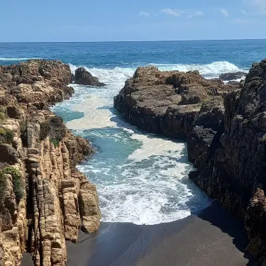 Pelluhue