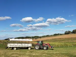 Local Homestead Products LLC
