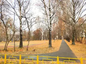 Gorodskoy Park