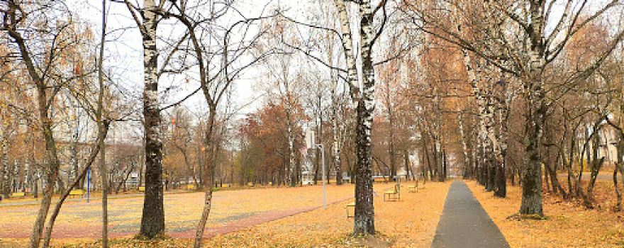 Gorodskoy Park
