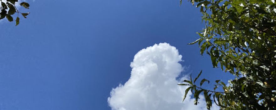 Nueva Colonia Inɨakwaxitɨa