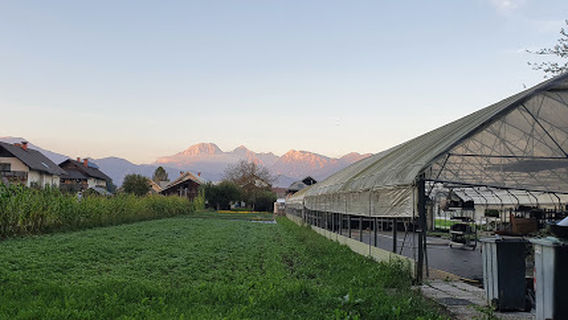 Šenčur