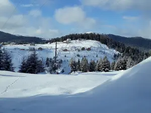Paşakonağı Yaylası
