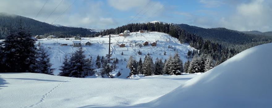 Paşakonağı Yaylası