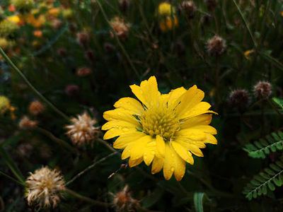 Park Mirzapur