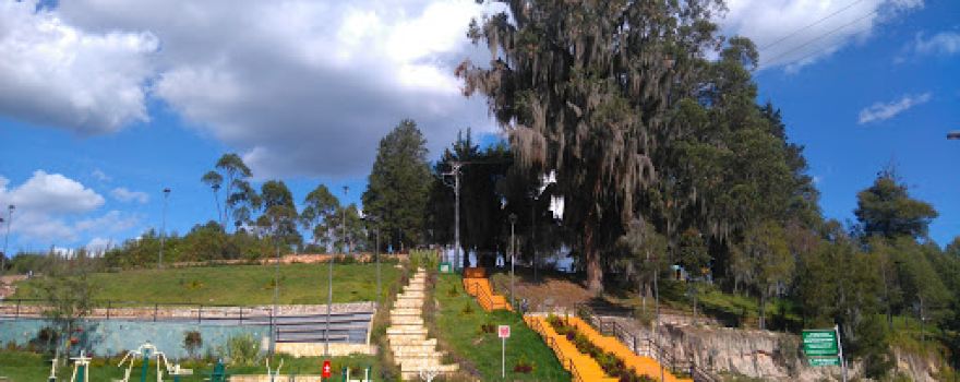 Cerro Altamira Forest Reserve