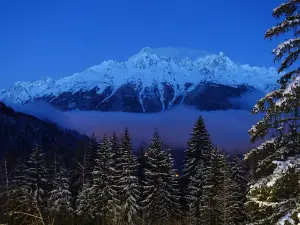 Oz Vaujany (Alpe d'Huez grand domaine)