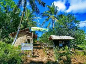 Bukit piniapat
