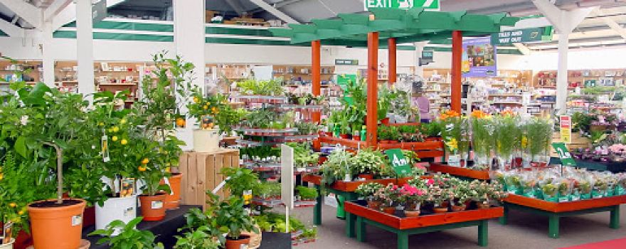 Wyevale Garden Centre
