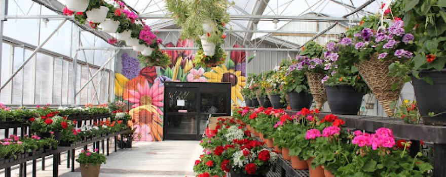 Belstra Farm and Garden