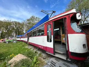 Kliemannsland