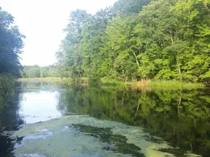 D N Campground