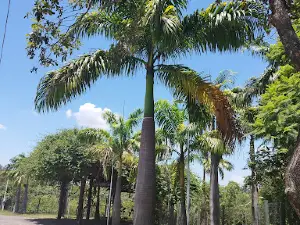 Green Murilo Ferreira Carnicelli park