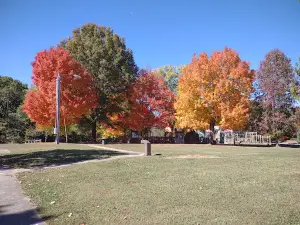Cedar Hill Park