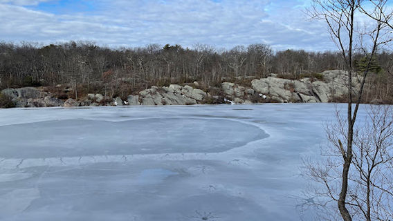 Terrace Pond