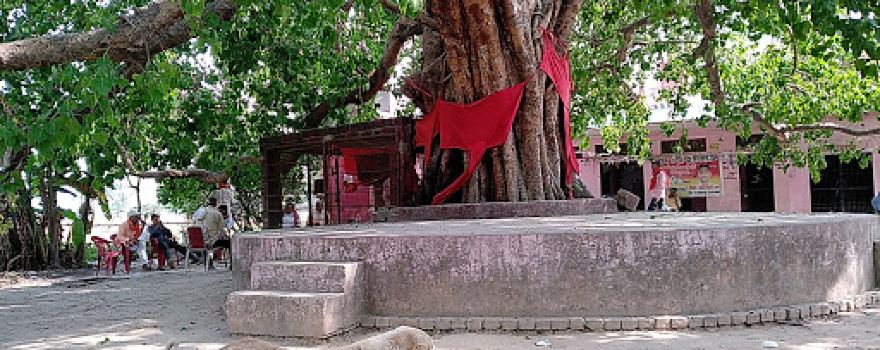 Temple