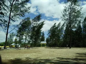 Pantai Cesar, Bula Pulau Seram