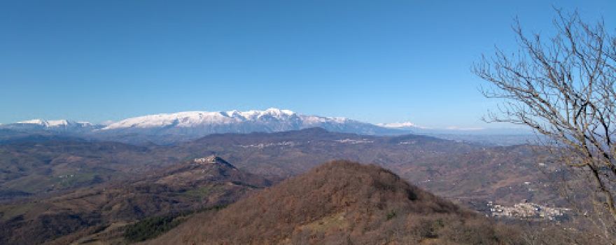 Bosco di Monte Sorbo