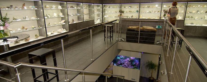 Galerie Patriot