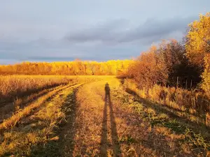 Pershing Wildlife Area