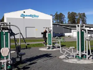 Kuortaneen frisbeegolf
