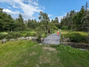 Camping O'P'TIT DES MONTS